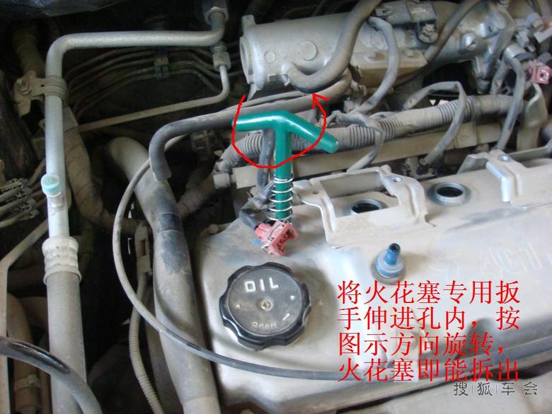 14425941.jpg_s780