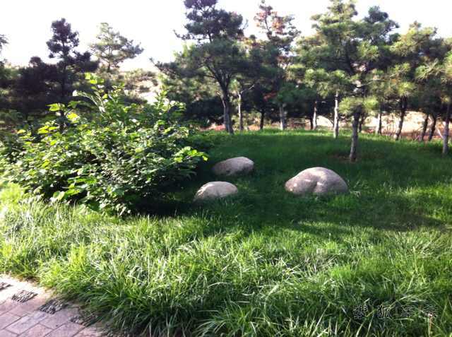 车友广告:旅游好去处--辽宁东戴河绥中电厂海滨