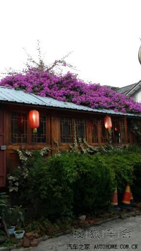 长沙,云南,大理,丽江,香格里拉,不小心进藏,317