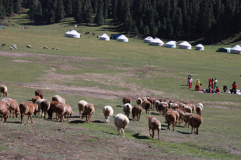 新疆喀什乌鲁木齐游风景记
