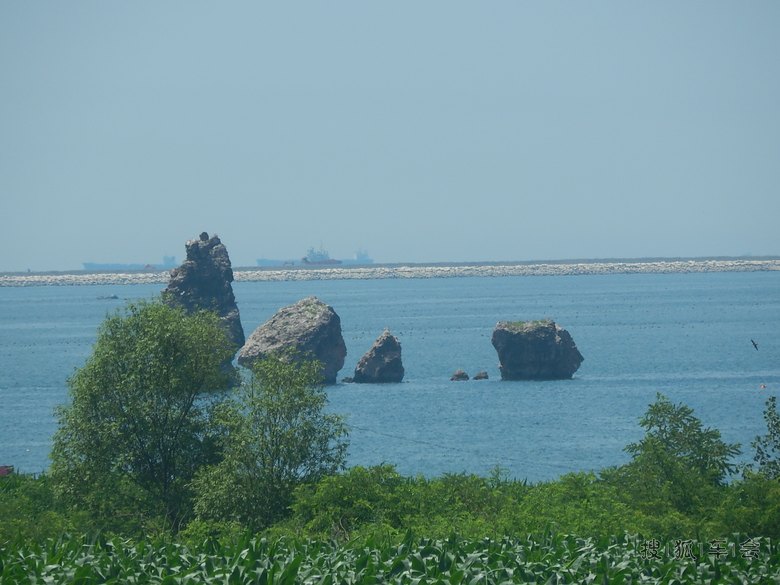 止锚湾哪里卖海鲜_止锚湾_海鲜美食图片(2)