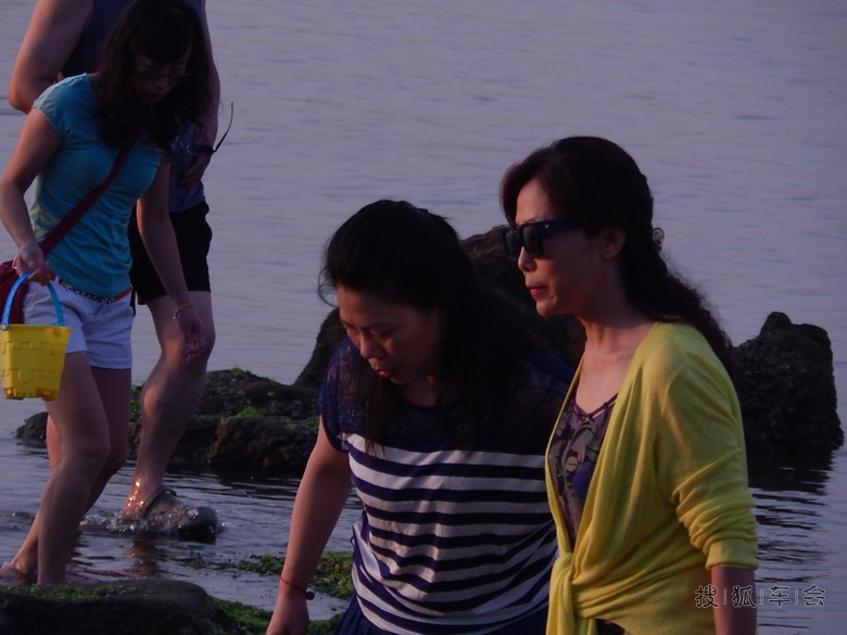 止锚湾哪里卖海鲜_止锚湾_海鲜美食图片(3)