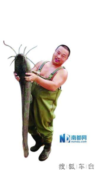 东莞男钓起1.5米巨型塘鲺 不敢吃放生!