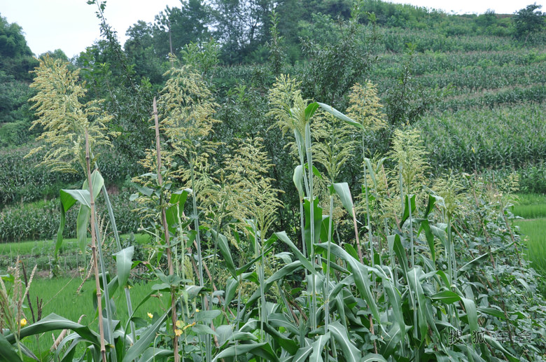 C5 2.0MT 北京-西安-四川自驾游,行程6000公里