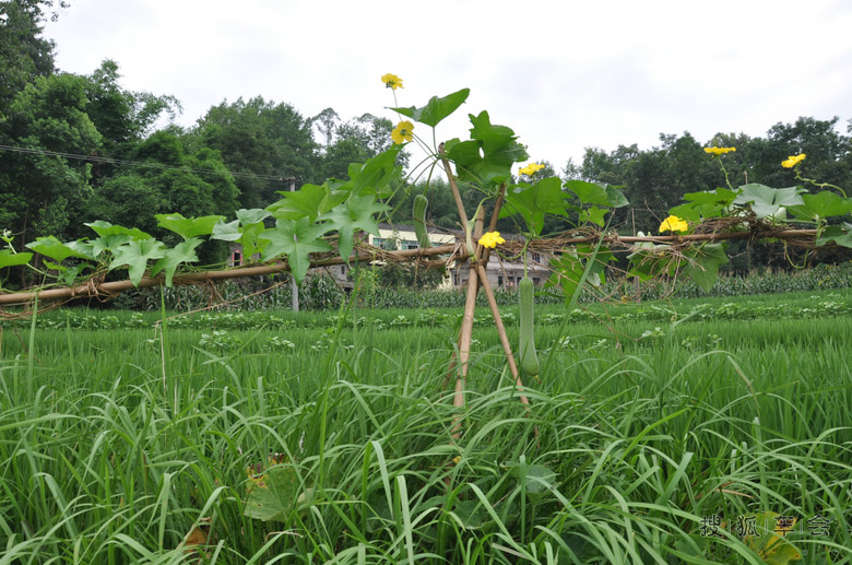 C5 2.0MT 北京-西安-四川自驾游,行程6000公里