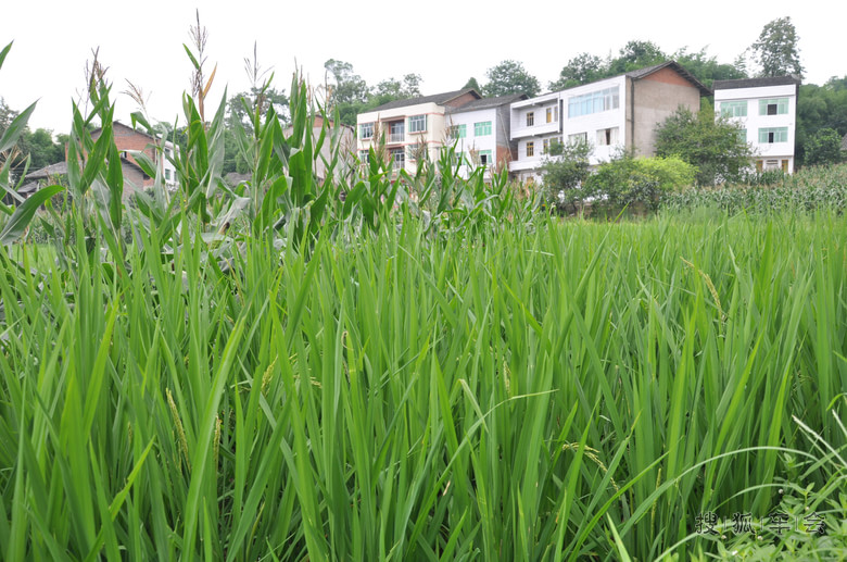 C5 2.0MT 北京-西安-四川自驾游,行程6000公里