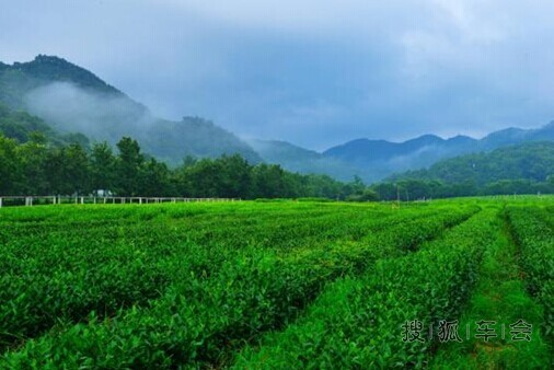 双峰插云是我们大杭州的十景之八_荣威350论