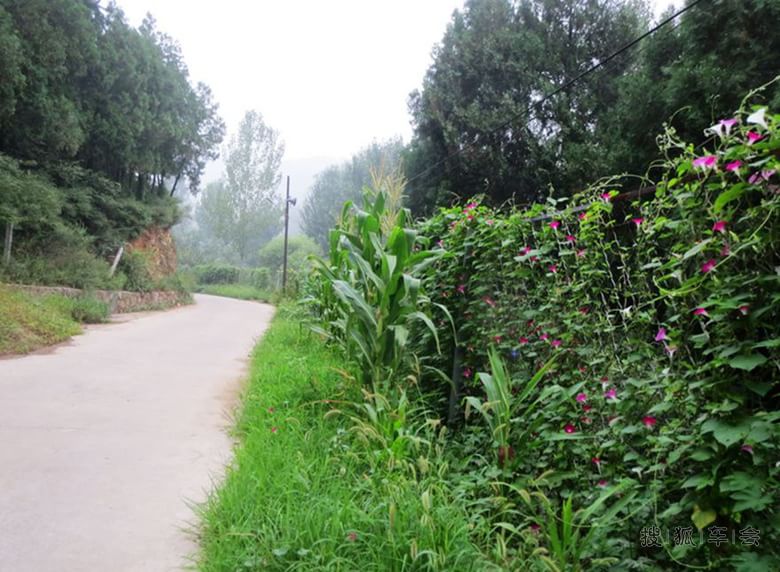 盛夏酷暑哪里去,水库周边钓鱼去