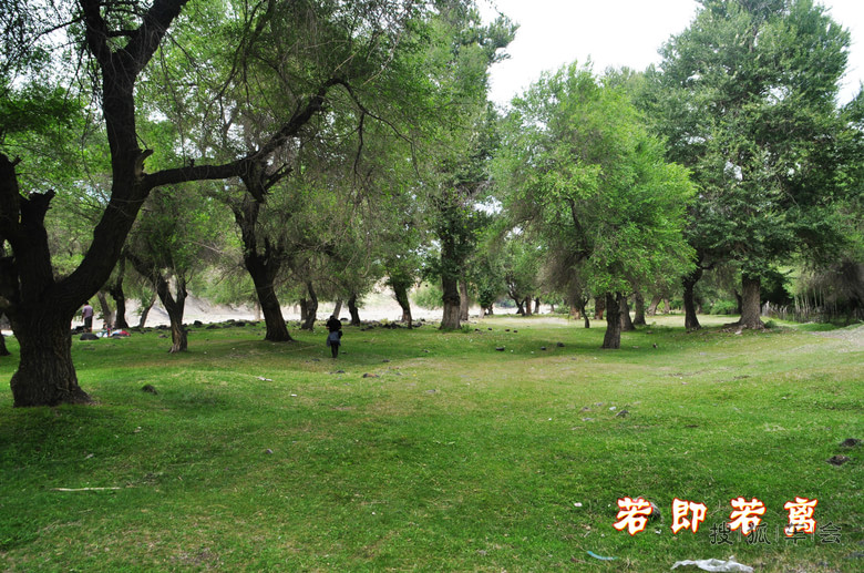 新疆准东车主营古树沟避暑休闲游