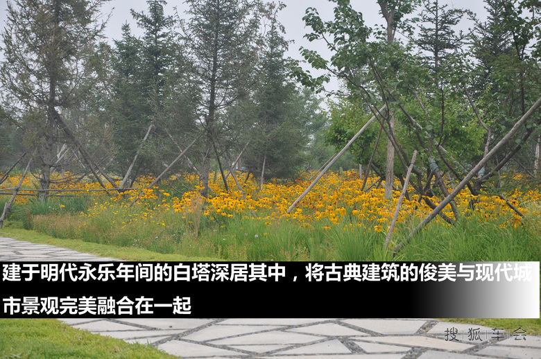 浑南新区中央公园游记