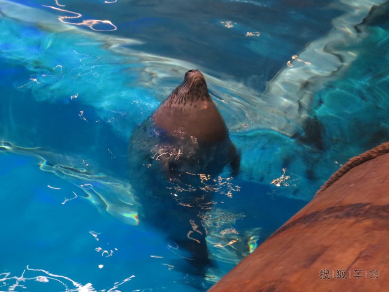 魅力青岛!自驾三日游!