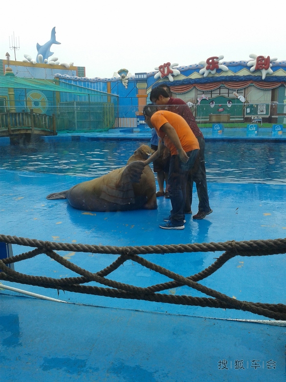 魅力青岛!自驾三日游!