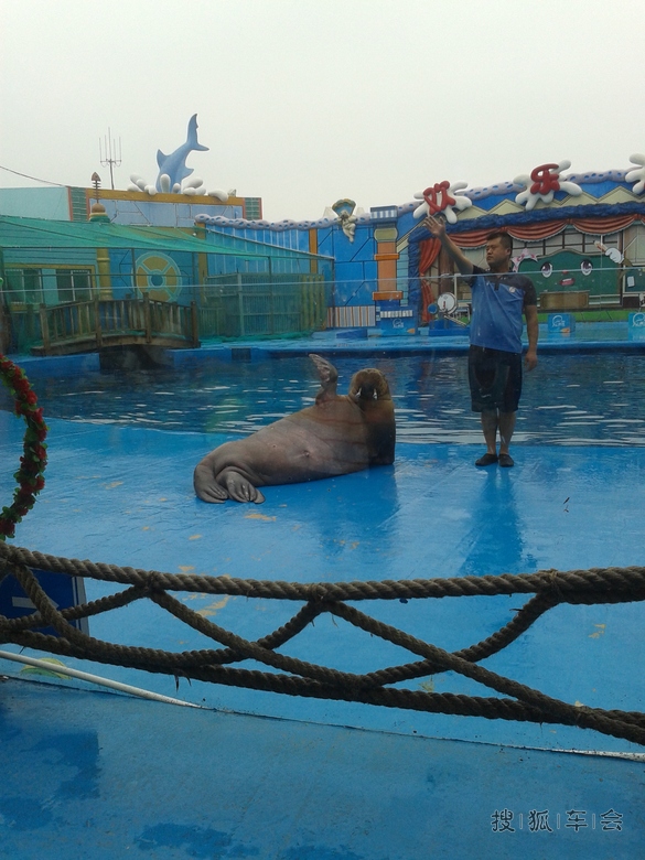 魅力青岛!自驾三日游!