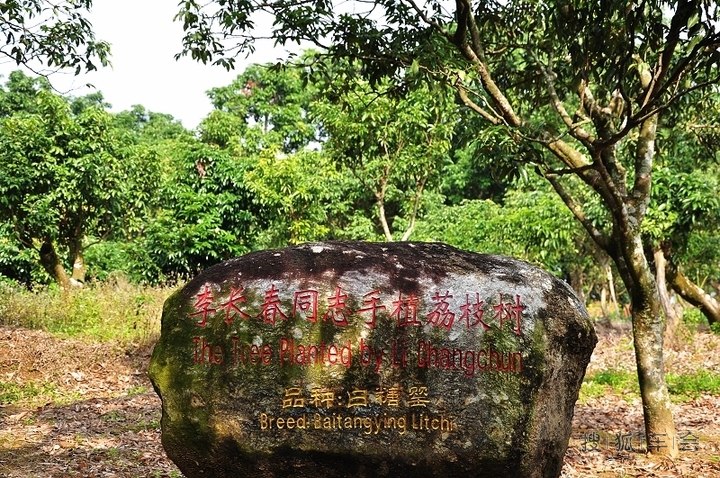 广东茂名高州根子镇柏桥村贡园