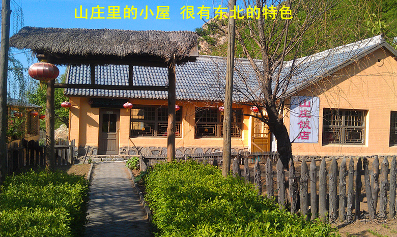 15727328.jpg_s780