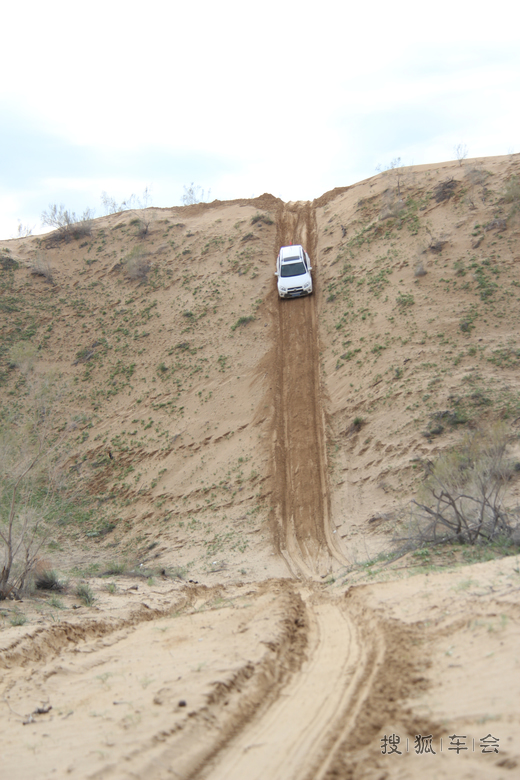 16059548.jpg_s780