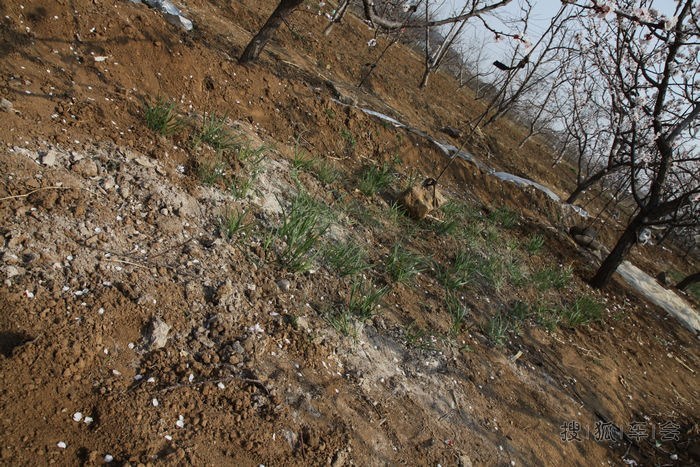 【拉菲红游记】--车友聚会自驾游,观平谷京东大