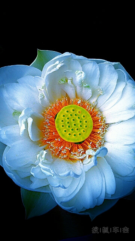 2014年8月25日, 打卡贴_天津比亚迪S6论坛