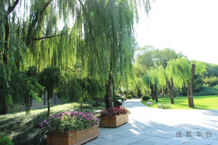 【今秋】柳荫公园寻秋