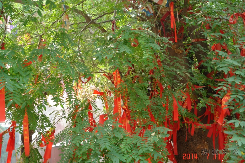 【s6写手】淄博小游第二篇--千佛寺_北京比亚