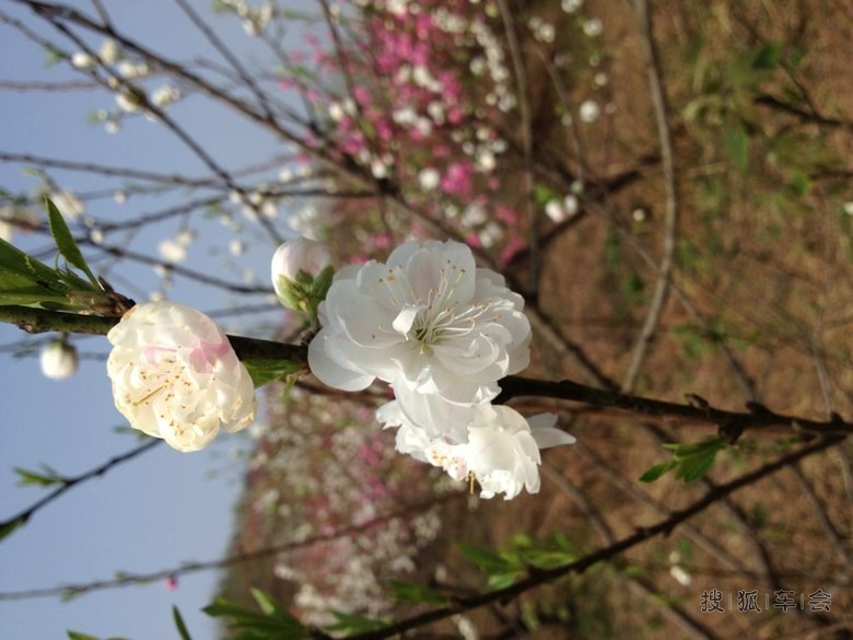 16473010.jpg_s780