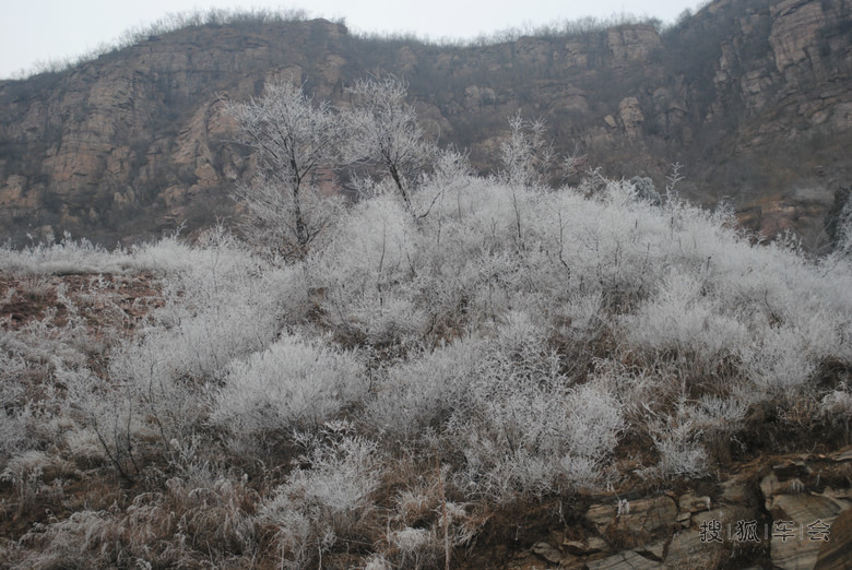 看冰挂!辉县西沟。深山里的冰挂!_Polo论坛