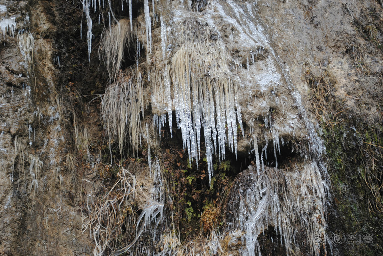 看冰挂!辉县西沟。深山里的冰挂!_Polo论坛