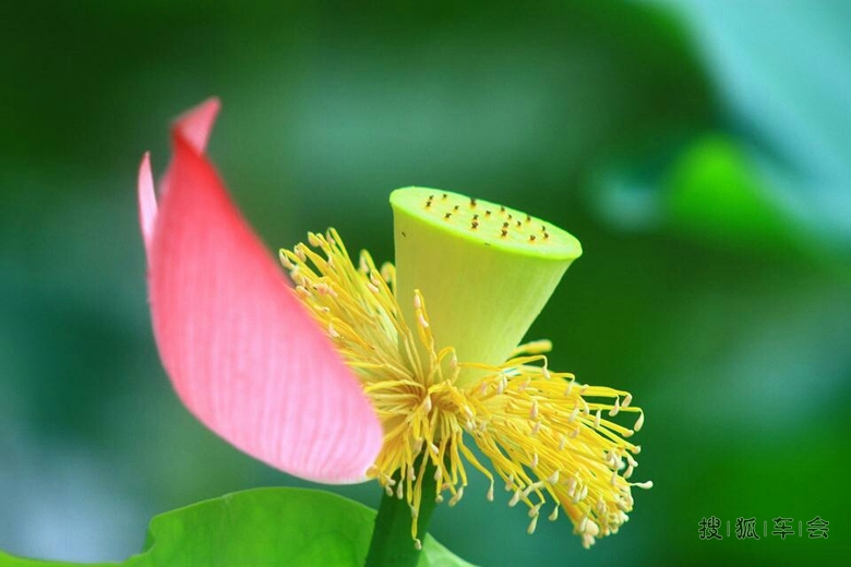 2014年9月6日, 打卡贴_天津比亚迪S6论坛