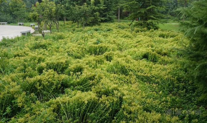 夏日情未了---这个夏天媳妇当车模的最后一档,