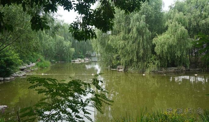 夏日情未了---这个夏天媳妇当车模的最后一档,