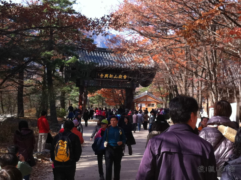 龙年收官之贴.祝皇坛<em>兄弟姐妹</em>们来年事事顺景