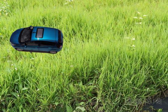 小嘉车模领回家,宝贝寻亲上演催泪大片_嘉年华