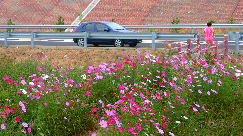 2014年9月12日 星期五 打卡_北京炫丽人生平车
