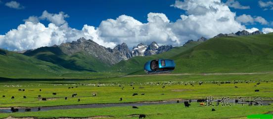 小嘉车模领回家,宝贝寻亲上演催泪大片_嘉年华