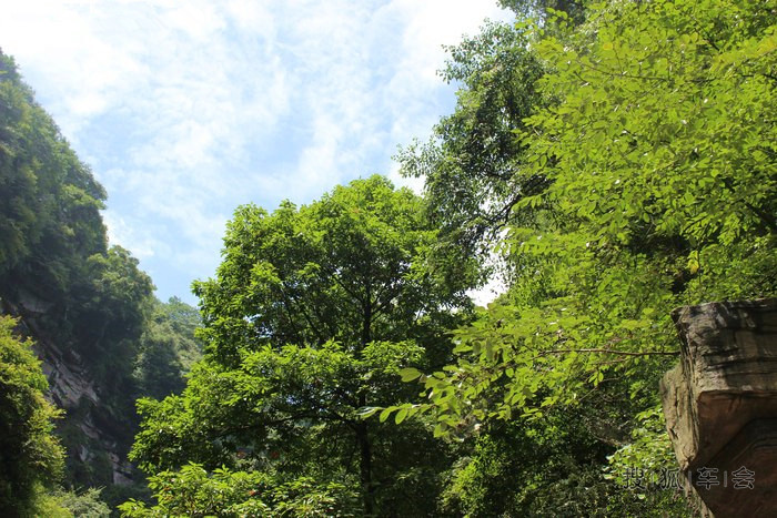 萌宝萌物的中秋自驾游:碧峰峡、上里古镇