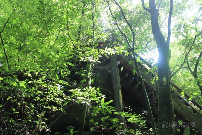 萌宝萌物的中秋自驾游:碧峰峡、上里古镇