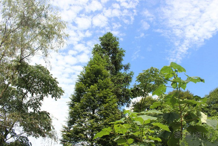 萌宝萌物的中秋自驾游:碧峰峡、上里古镇
