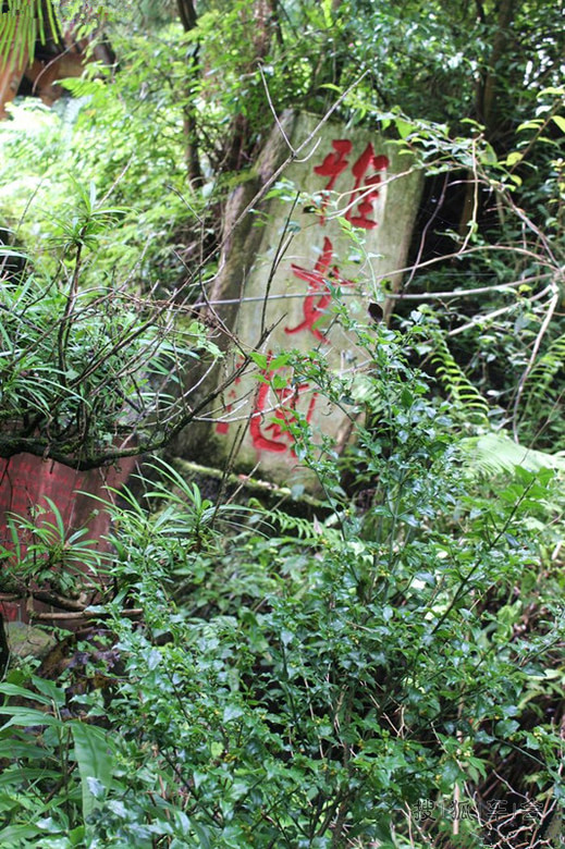 萌宝萌物的中秋自驾游:碧峰峡、上里古镇