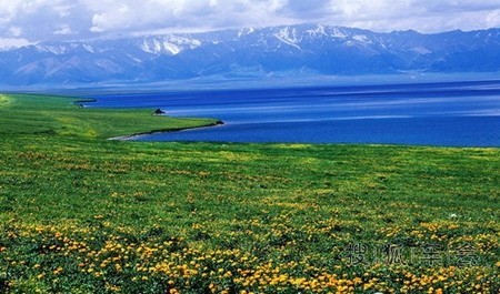 最有野性的20个旅行目的地环游青海湖(青海)