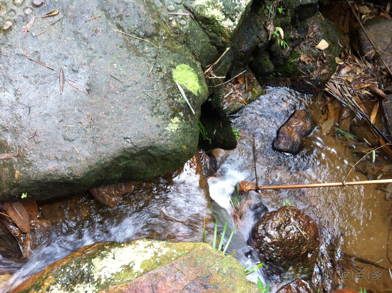【粤野车友】广州RAV4花都王子山登高自驾