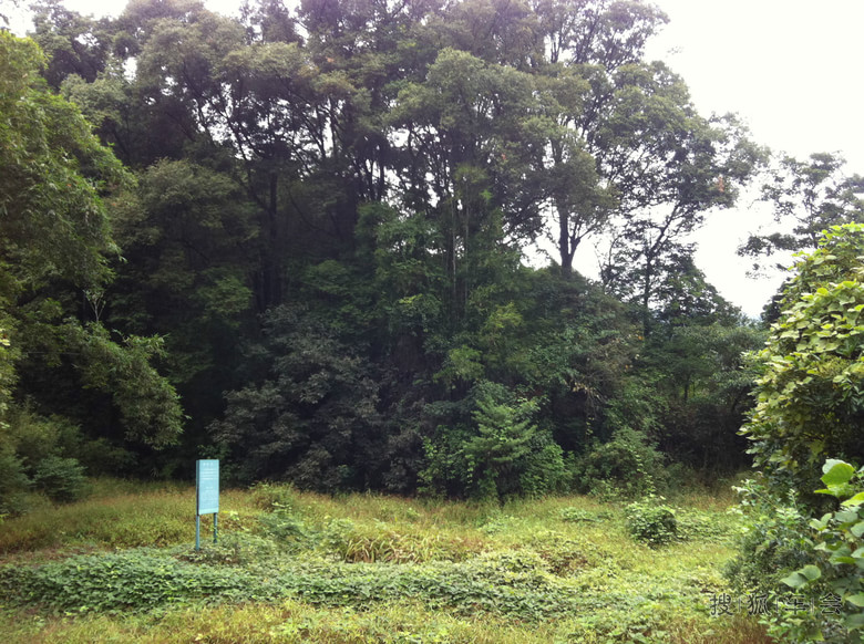 【粤野车友】广州RAV4花都王子山登高自驾