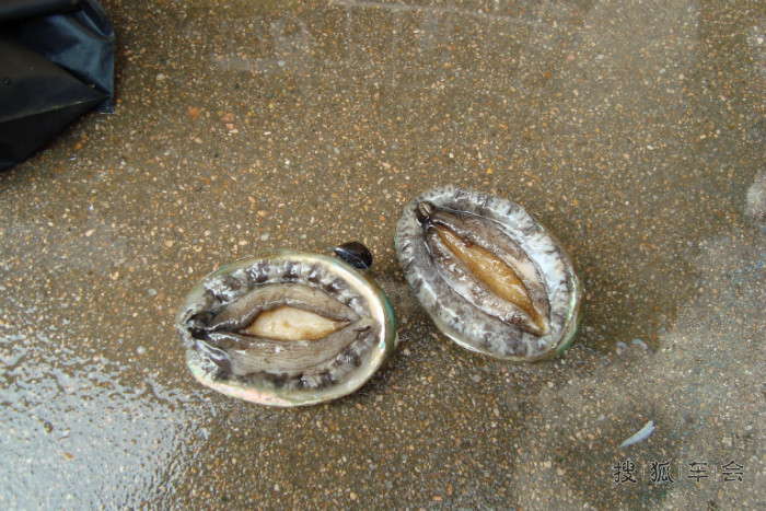 日照海鲜排挡_日照海鲜大餐_海鲜自助餐(3)