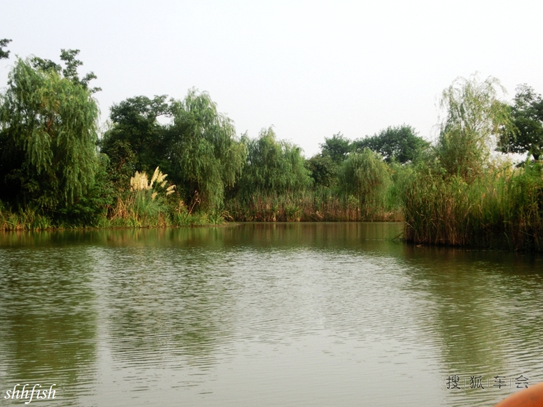 无锡梁鸿湿地公园_浙江车友会_搜狐车友会