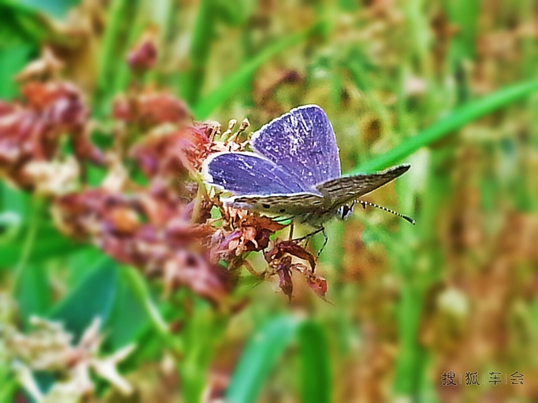 18046676.jpg_s780