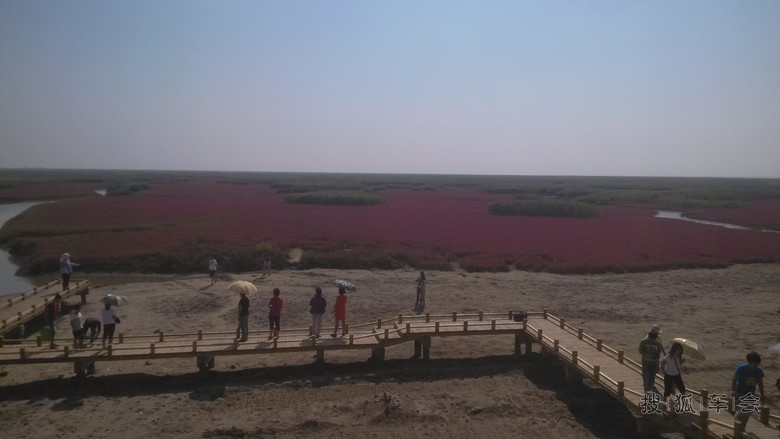 辽宁盘锦红海滩一日游!