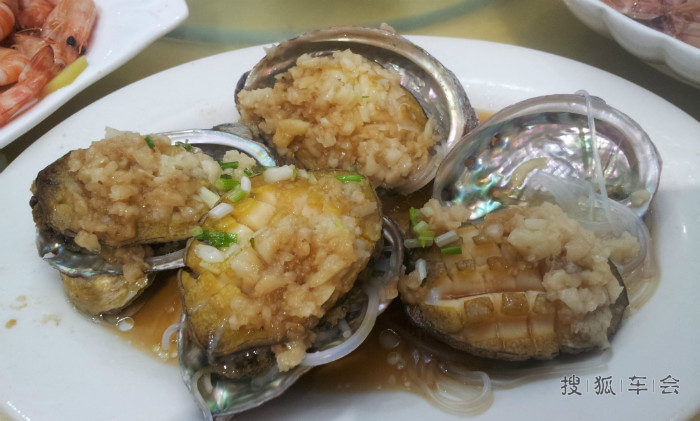 军豪海鲜大酒店_君豪大酒店_豪车标志图片大全(2)