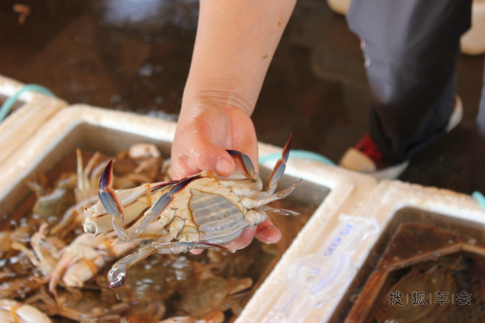 寿光海鲜饭店_海鲜饭店门头设计_海鲜小炒(4)