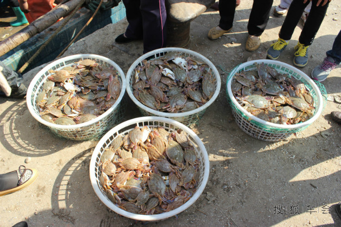 寿光羊口海鲜_羊口港_海鲜火锅