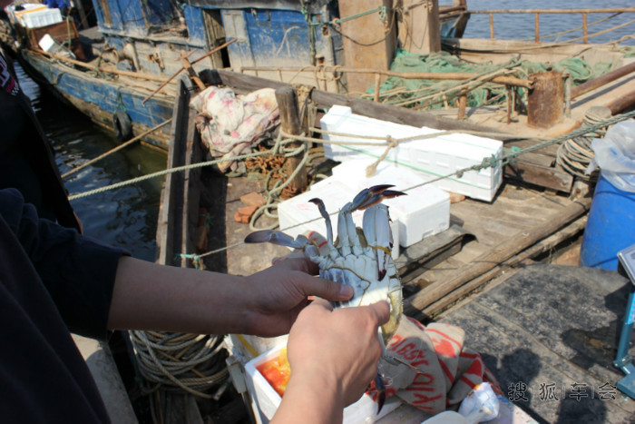 寿光海鲜批发市场_黄骅海鲜批发市场_三亚第一市场海鲜图片(3)