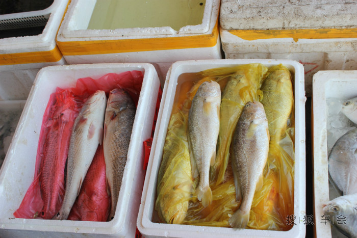 寿光羊口海鲜_羊口港_海鲜火锅